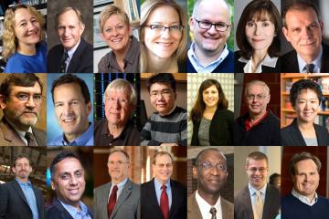 Composite image of more than 20 Bloomberg Distinguished Professors