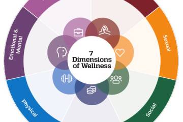 Wellness wheel illustration, with 7 dimensions of wellness: Spiritual, Professional, Sexual, Social, Financial, Physical, and Emotional/Mental