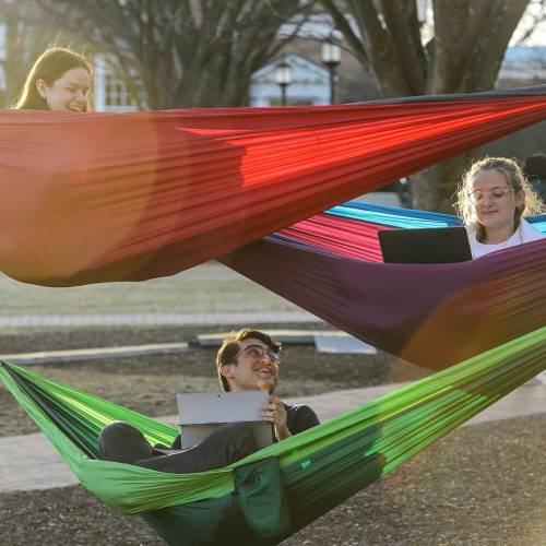 Three people in hammocks, colored greed, red, and purple