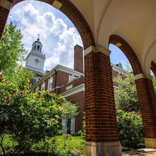 A rosebush is seen under a brick campus archway